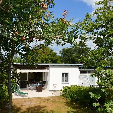 Am Deich Apartamento Sankt Peter-Ording Exterior foto