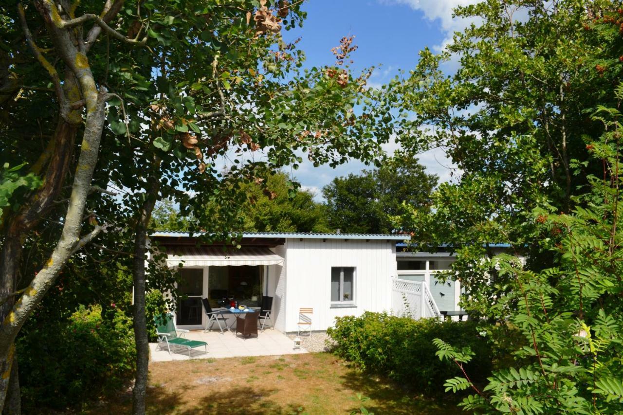 Am Deich Apartamento Sankt Peter-Ording Exterior foto